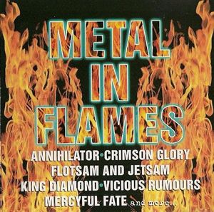 Metal In Flames cover