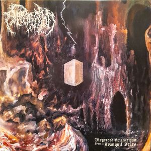 Disgraced Emanations From A Tranquil State cover