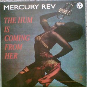 The Hum Is Coming From Her by Mercury Rev