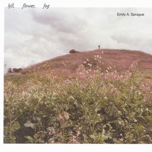 Hill, Flower, Fog cover