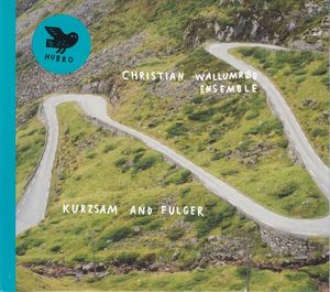 Christian Wallumrød Ensemble – Kurzsam And Fulger