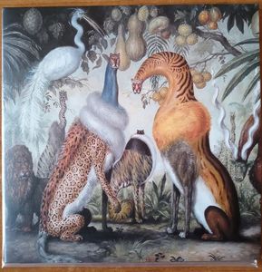 Magická Džungl’a cover