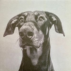 Postindustrial Hometown Blues cover