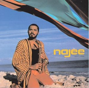 Najee's Theme cover