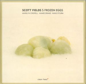 Scott Fields – 5 Frozen Eggs 