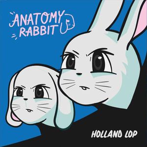 Holland Lop by Anatomy Rabbit