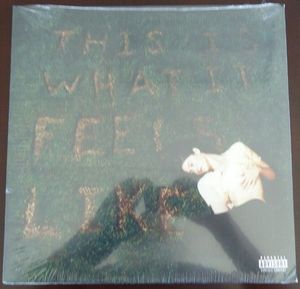 This Is What It Feels Like cover