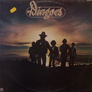 Five Times The Sun by The Dingoes