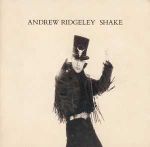 Shake by Andrew Ridgeley