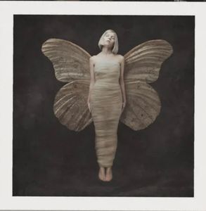 All My Demons Greeting Me As A Friend cover