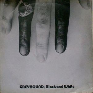 Greyhound – Black And White