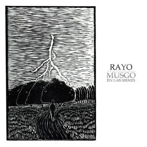 Musgo en las sienes – Rayo