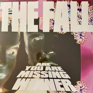 Are You Are Missing Winner by The Fall