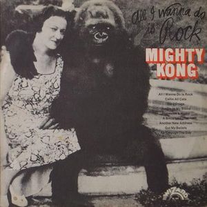 All I Wanna Do Is Rock cover