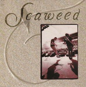 Go Your Own Way cover