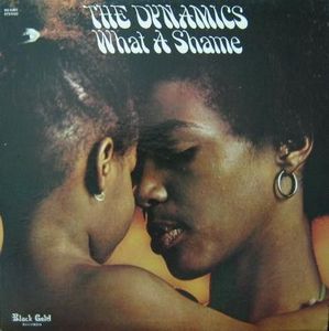 The Dynamics – What A Shame