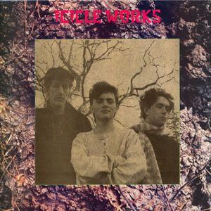 Icicle Works cover
