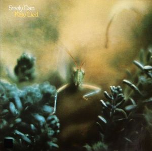 Katy Lied by Steely Dan