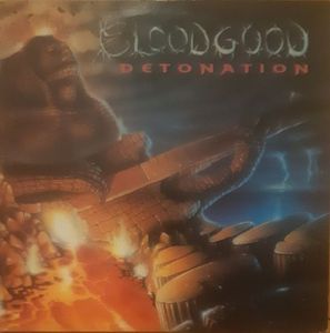 Detonation cover