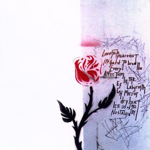 Dance The Dance Electric cover