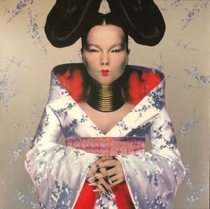 Björk – Homogenic