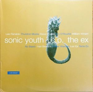 Sonic Youth + ICP + The Ex – In The Fishtank 9
