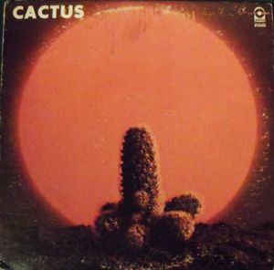 Cactus cover