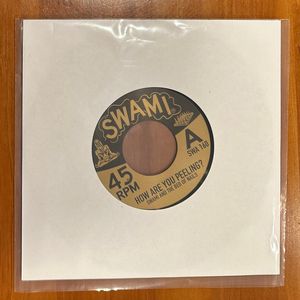 How Are You Peeling? / Honesty cover