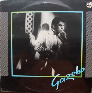 Gazebo cover