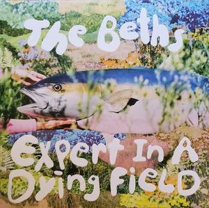 The Beths – Expert In A Dying Field