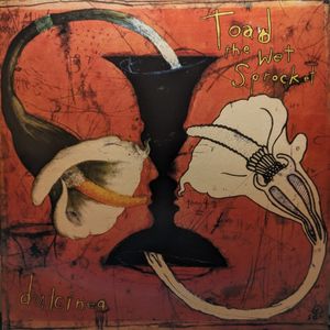 Dulcinea by Toad The Wet Sprocket