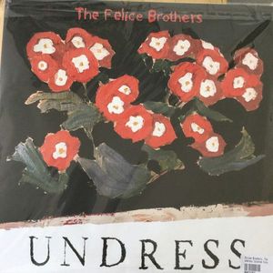 The Felice Brothers – Undress