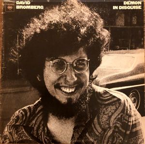 Demon In Disguise cover