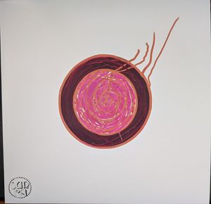 Sleeping Beauty cover