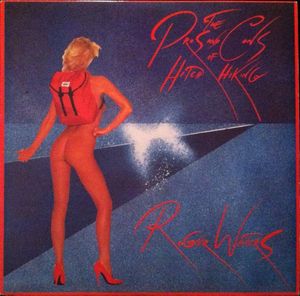 The Pros And Cons Of Hitch Hiking cover