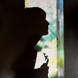 Wild Wood by Paul Weller