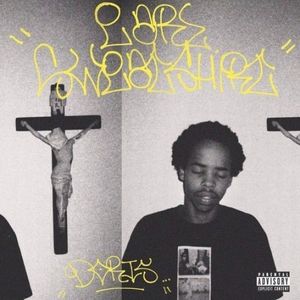 Doris cover
