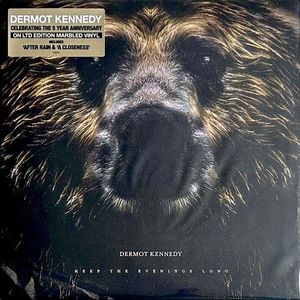 Dermot Kennedy โ Keep The Evenings Long