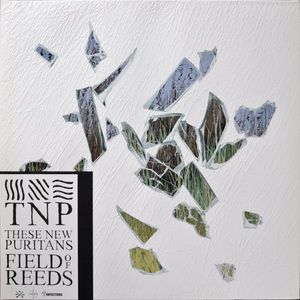These New Puritans – Field Of Reeds