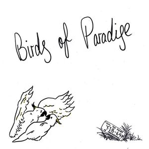 Birds Of Paradise cover