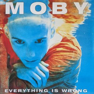 Everything Is Wrong cover