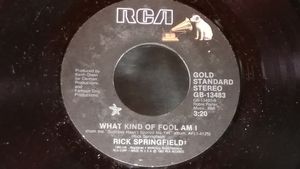 Rick Springfield – What Kind Of Fool Am I