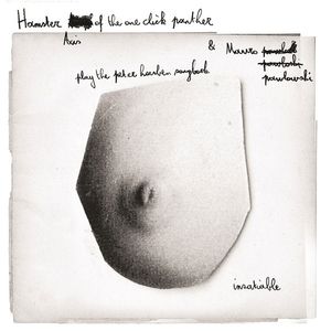 Play The Peter Houben Songbook Insatiable cover