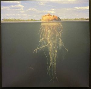 De-Loused In The Comatorium cover