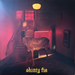 Skinty Fia cover