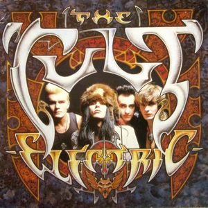 Electric cover