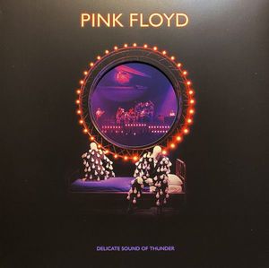 Delicate Sound Of Thunder cover