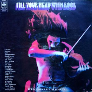 Fill Your Head With Rock cover