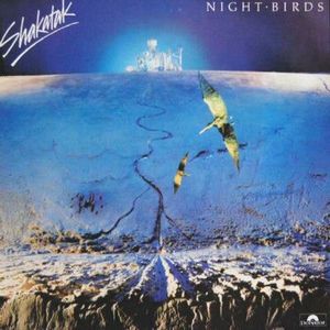 Night Birds cover