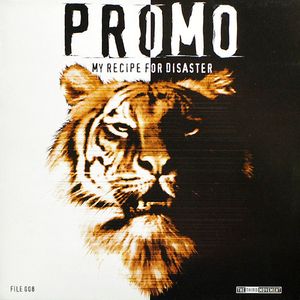 Promo – My Recipe For Disaster